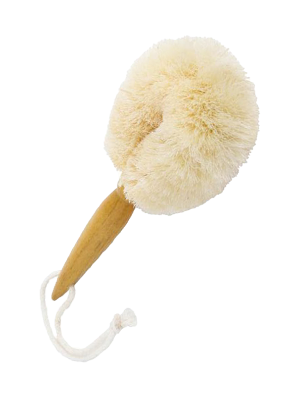 Eco Max Travel Brush
